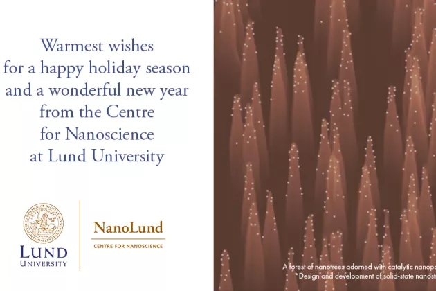 Christmas Card from NanoLund