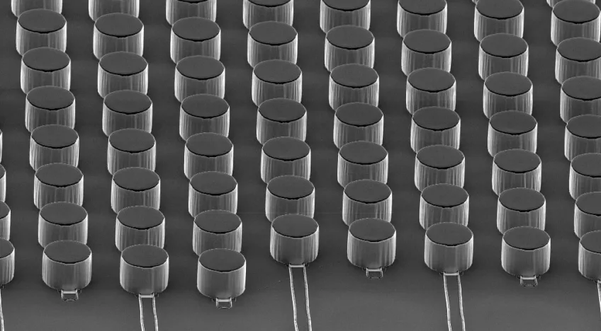 Microfluidics device. SEM-Photo: Kevin Keim, EPFL